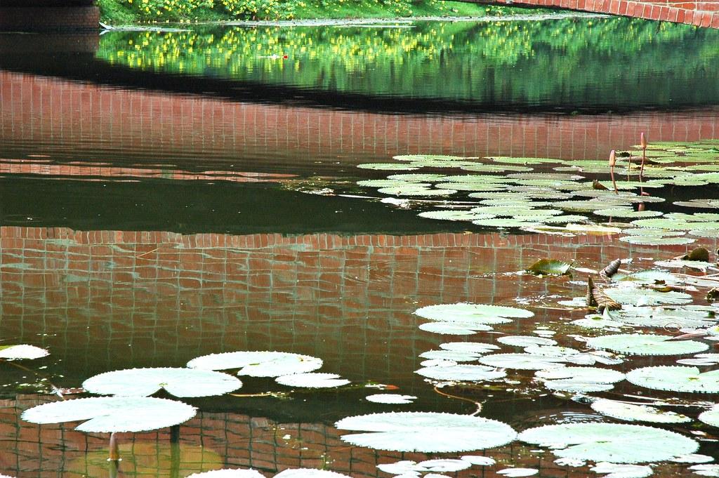 Dhaka North Raises Holding Tax on Residential Households Starting This Month