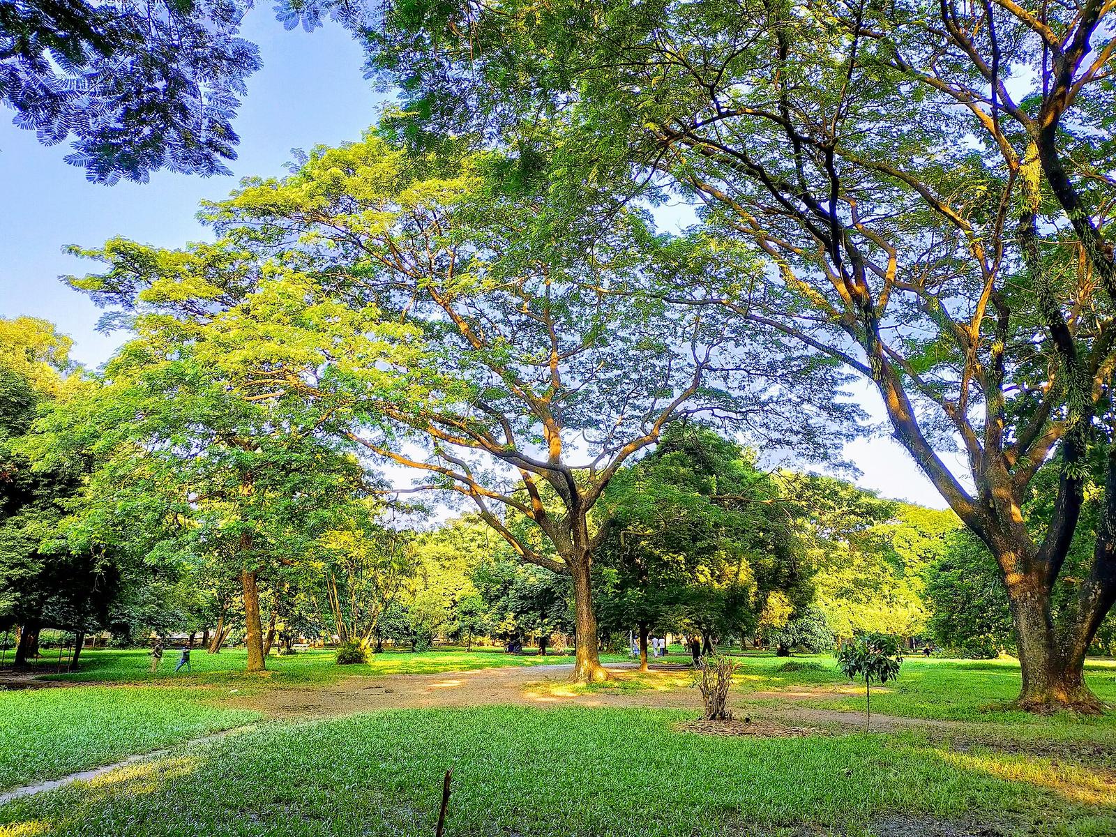 Dhaka Opens Safe Cycling Routes Through Ramna Park and Hatirjheel